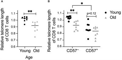 Association of Premature Immune Aging and Cytomegalovirus After Solid Organ Transplant